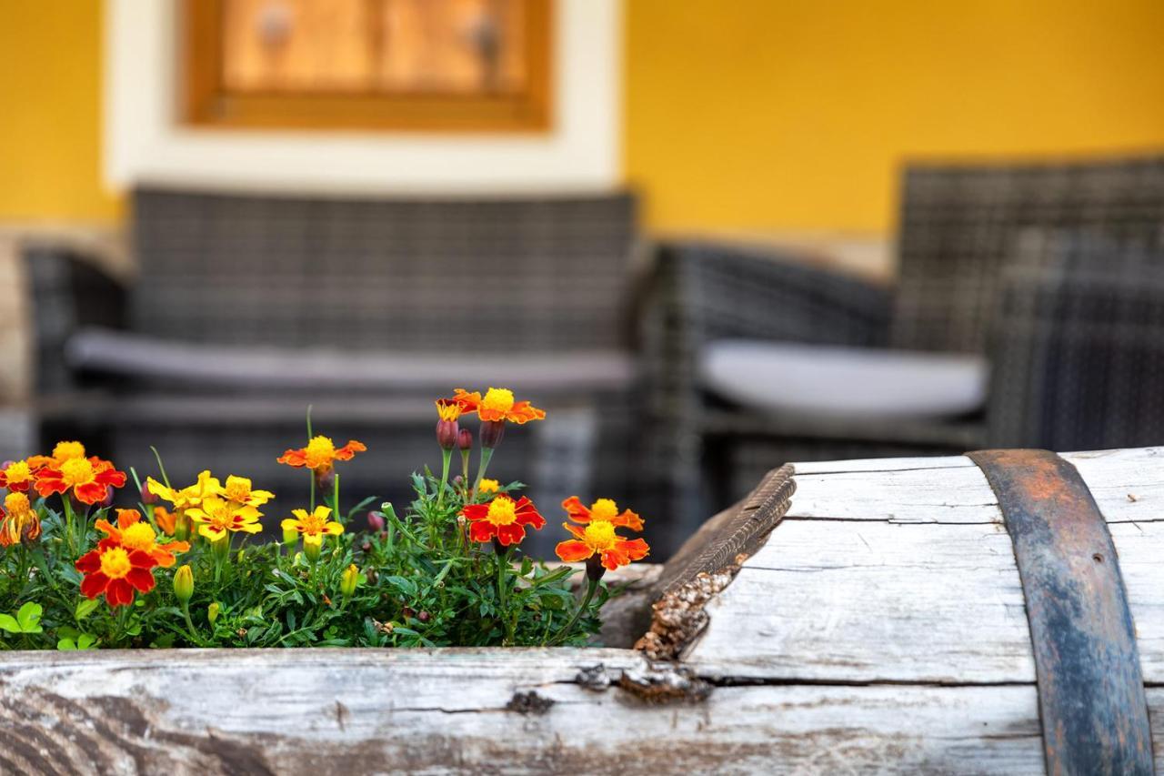 Apartament Cesa Raggio Di Sole Arabba Zewnętrze zdjęcie